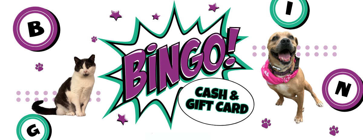 Cash & Gift Card Bingo 2026